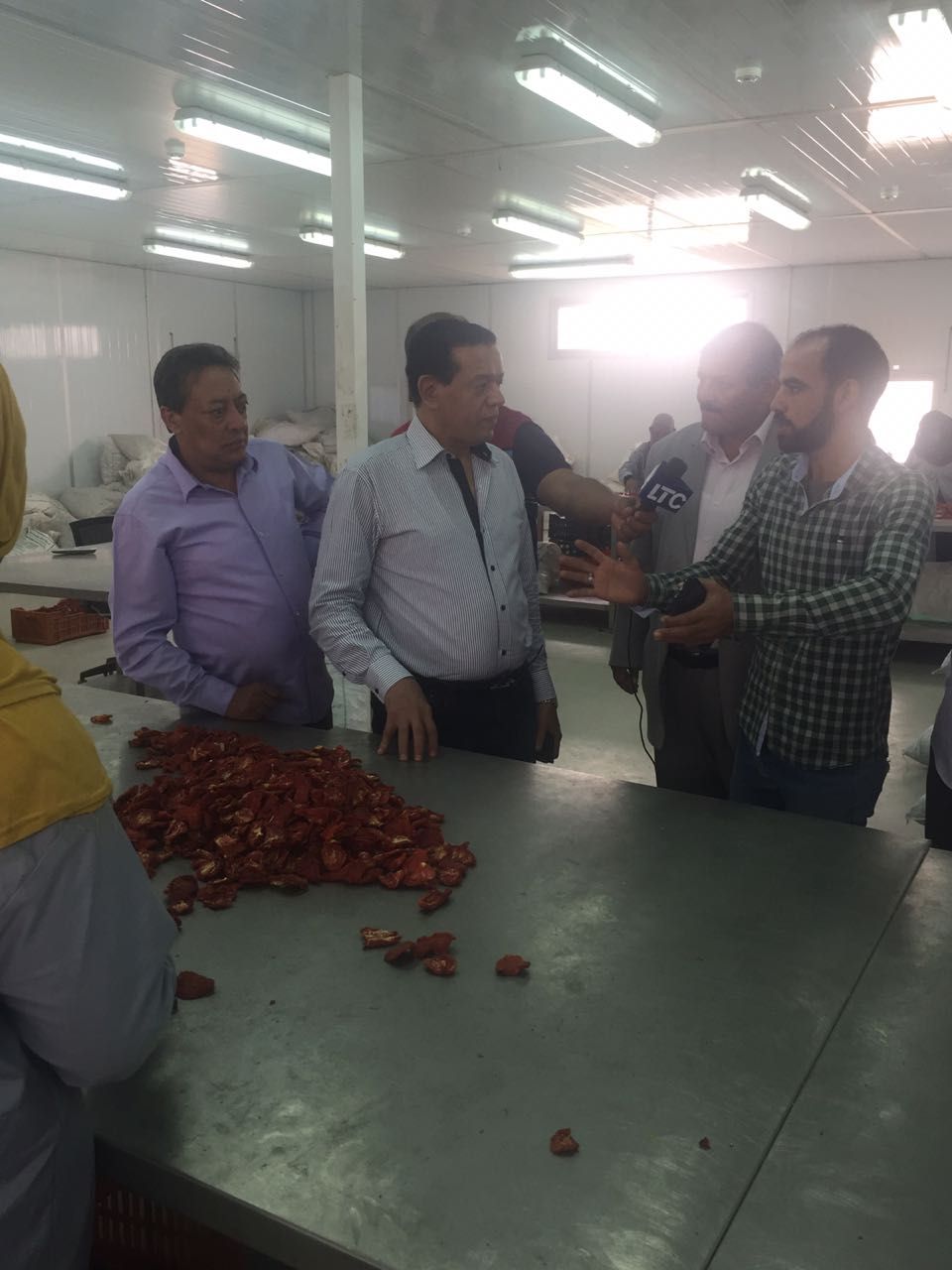 الطماطم المجففة كنز المزارعين للتصدير للخارج بالعملة الصعبة (20)