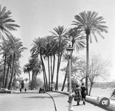صورة قديمة لكورنيش النيل فى حى الزمالك 1950