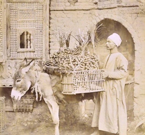 صورة لبائع البلح في القاهرة سنة 1882