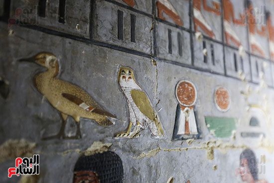 مقبرة خوى أحد النبلاء فى مصر  فى سقارة (12)