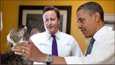 القط لارى مع الرئيس الأمريكى السابق اوباما