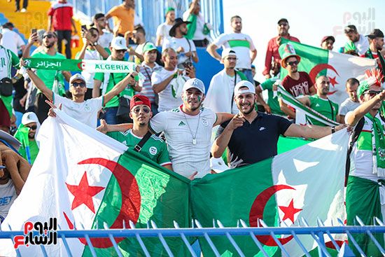 جماهير الجزائر (26)