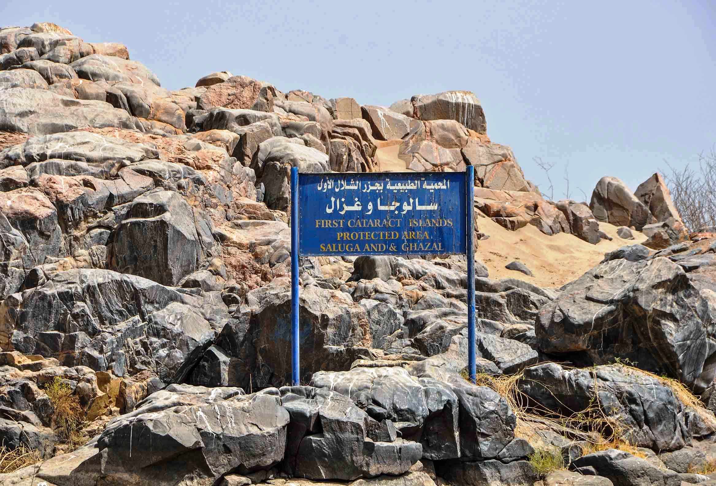 7201929162543635-سالوجا 7201929162543635-سالوجا
