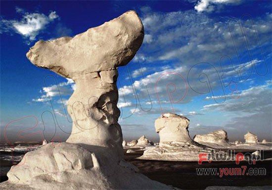 7201929162543620-الصحراء البيضاء 4 7201929162543620-الصحراء البيضاء 4