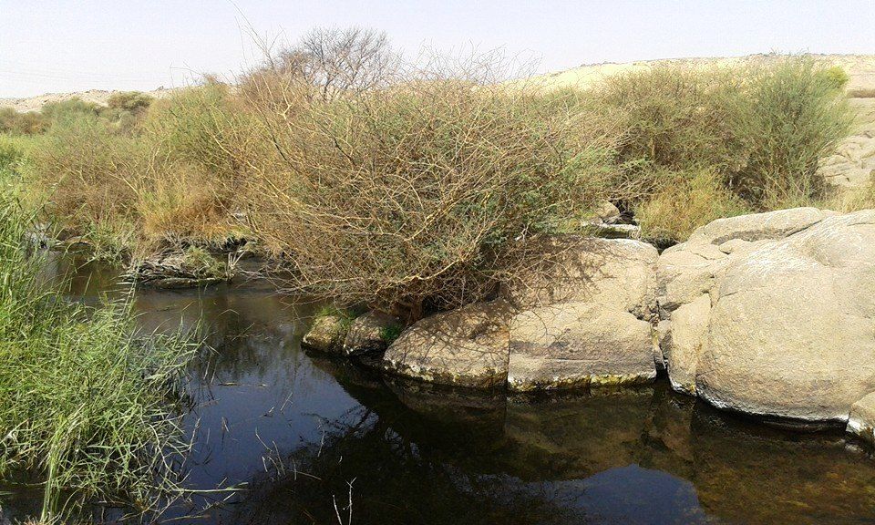 7201929162543635-محمية سالوجا 1 7201929162543635-محمية سالوجا 1