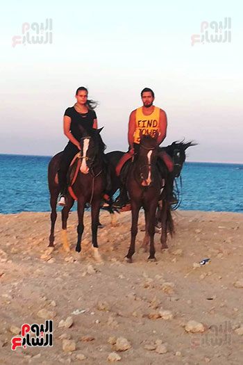 رحلات الخيول السياحية فى البحر الأحمر (8)