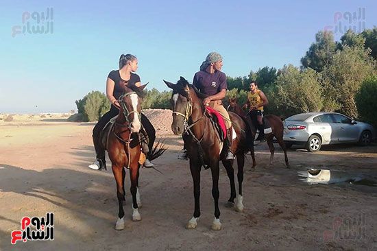 رحلات الخيول السياحية فى البحر الأحمر (3)