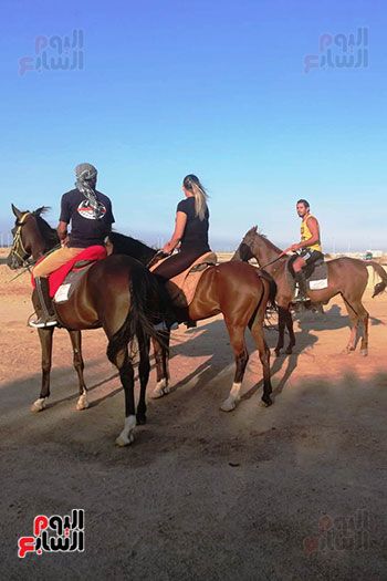 رحلات الخيول السياحية فى البحر الأحمر (9)