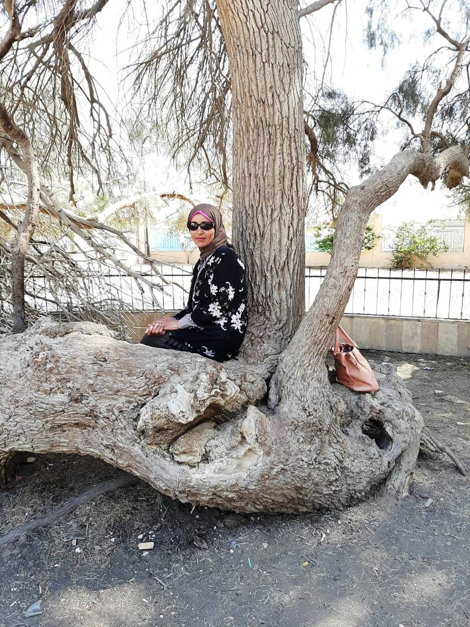 محررة اليوم السابع  وشجرة السيدة العذراء بمنطقة البهنسا