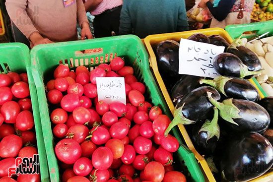 انخفاض فى أسعار الخضراوات والفاكهة بالمحافظات (5)