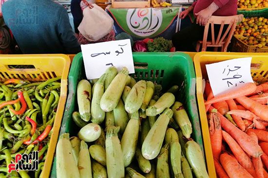 انخفاض فى أسعار الخضراوات والفاكهة بالمحافظات (6)