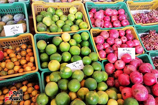 انخفاض فى أسعار الخضراوات والفاكهة بالمحافظات (2)