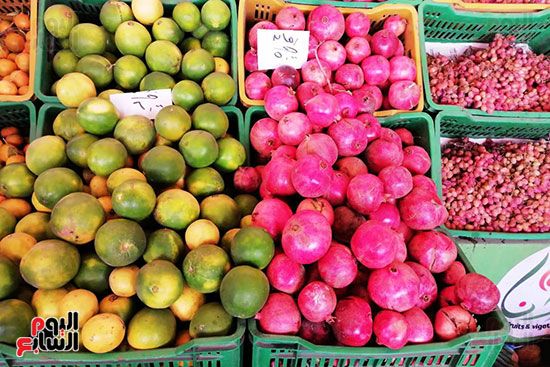 انخفاض فى أسعار الخضراوات والفاكهة بالمحافظات (8)