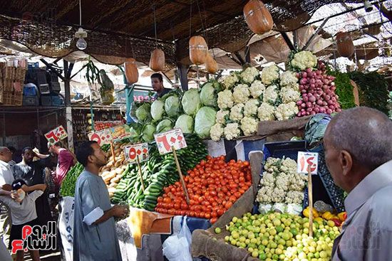 انخفاض فى أسعار الخضراوات والفاكهة بالمحافظات (19)