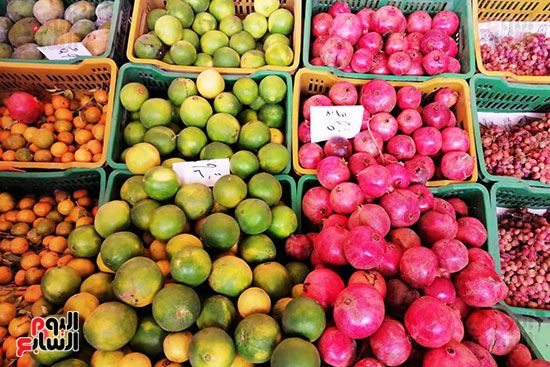 انخفاض فى أسعار الخضراوات والفاكهة بالمحافظات (4)