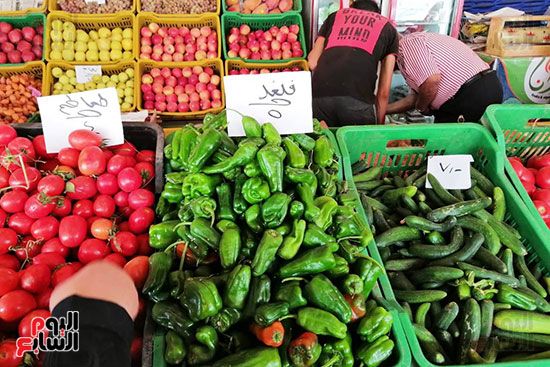 انخفاض فى أسعار الخضراوات والفاكهة بالمحافظات (12)