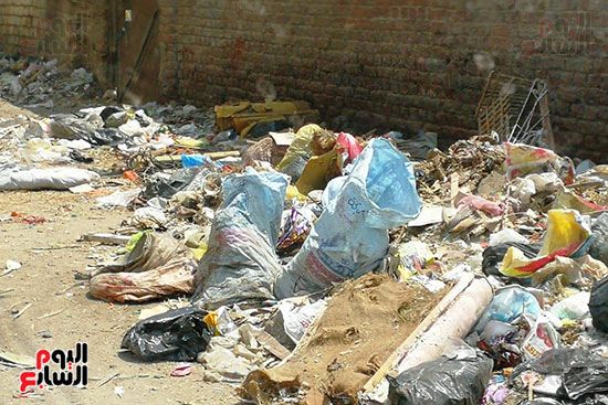 مشكلة القمامة وتراكمها بشوارع محافظة الغربية (1)
