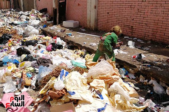 مشكلة القمامة وتراكمها بشوارع محافظة الغربية (7)
