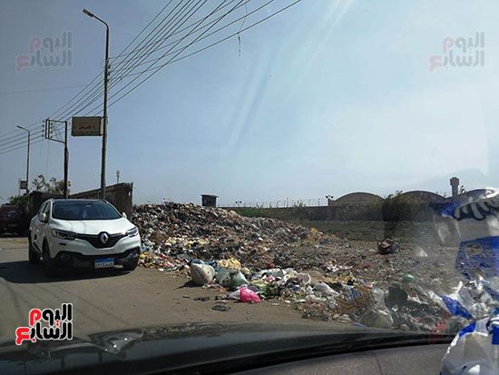 مشكلة القمامة وتراكمها بشوارع محافظة الغربية (9)