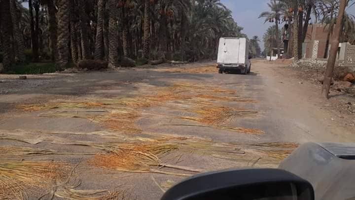 36128-صوباط-النخيل 36128-صوباط-النخيل