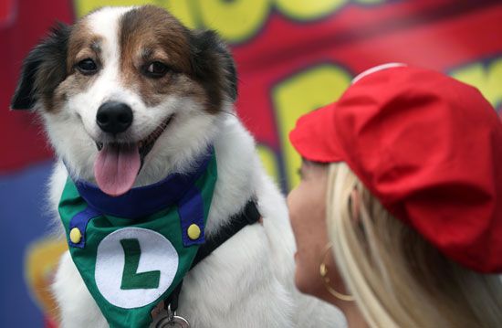 إحدى المحتفلات بالكرنفال وكلبها يشاركان في موكب كرنفال الكلاب