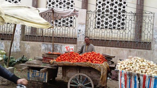 رواج بأسواق السلع الغذائية بالمحافظات (4)