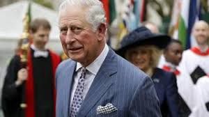 Britain's Prince Charles tests positive for coronavirus | Euronews