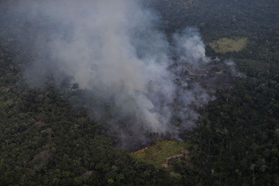 تصاعد الدخان من غابات الامازون