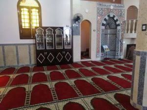 المساجد بالبحيرة (3)