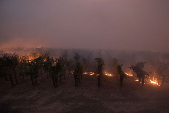 حرائق الغابات فى كاليفورنيا