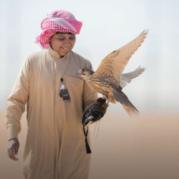 طفل سعودي مشارك في مهرجان الصقور