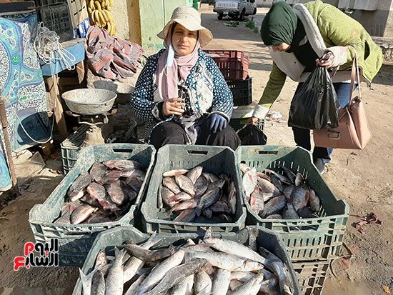شيماء تبيع الأسماك فى الشرقية