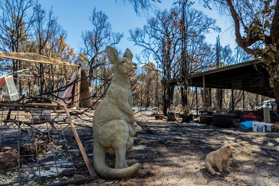 حرائق الغابات تدمر عدة منازل غرب أستراليا (3)