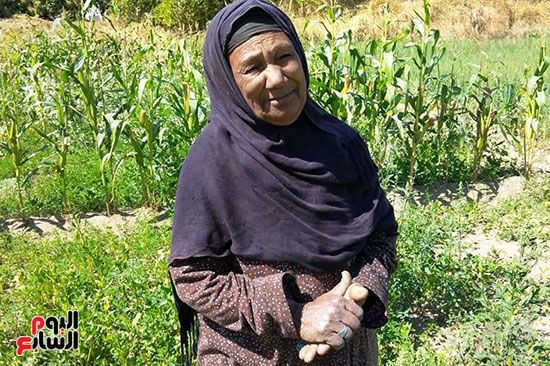 غنية-محمد-50-عاما-في-الزراعة