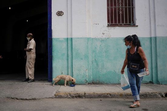 حقوق الحيوان فى كوبا (5)