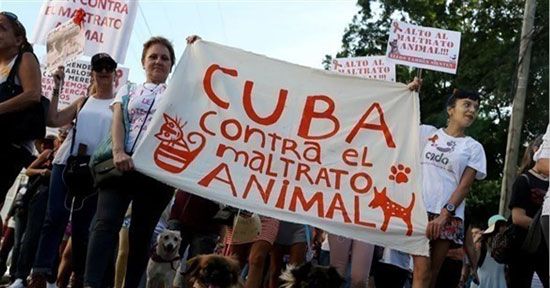 حقوق الحيوان فى كوبا (1)
