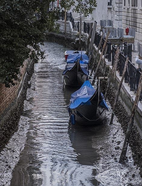 جفاف قنوات مدينة البندقية الشهيرة في إيطاليا (4)