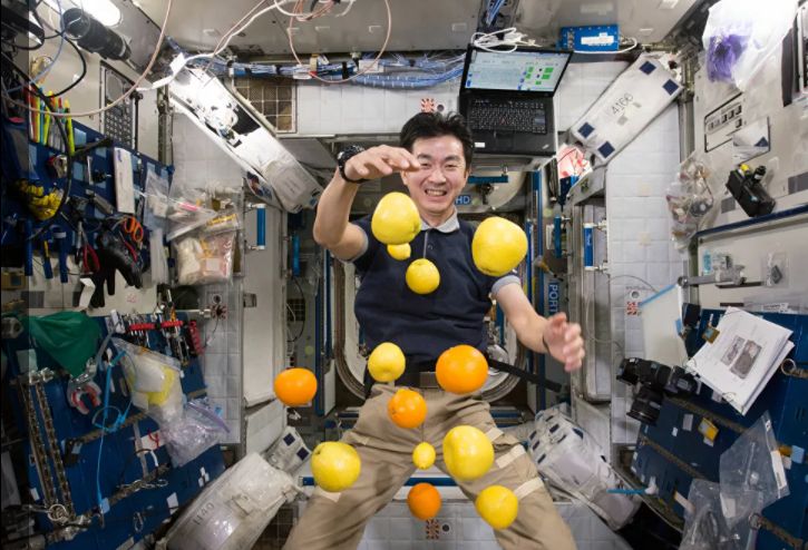 رائد الفضاء اليابانية كيميا يوي بصدد جمع الفاكهة المتناثرة في الهواء على متن محطة الفضاء الدولية