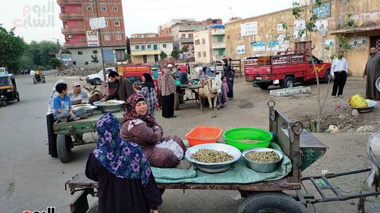سوق-التوت-بقرية-صرد