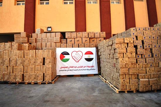 الصحة ترسل 65 طنا من الأدوية والمستلزمات الطبية لدعم الأشقاء الفلسطينيين بغزة (1)