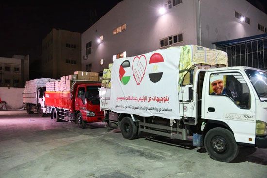 الصحة ترسل 65 طنا من الأدوية والمستلزمات الطبية لدعم الأشقاء الفلسطينيين بغزة (2)