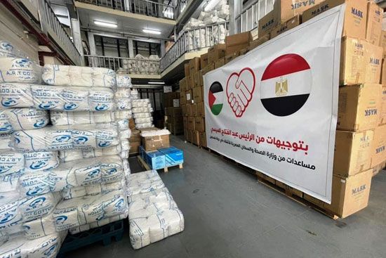 الصحة ترسل 65 طنا من الأدوية والمستلزمات الطبية لدعم الأشقاء الفلسطينيين بغزة (5)