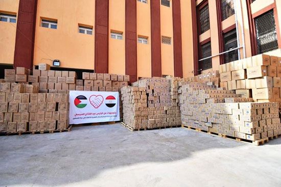 الصحة ترسل 65 طنا من الأدوية والمستلزمات الطبية لدعم الأشقاء الفلسطينيين بغزة (4)