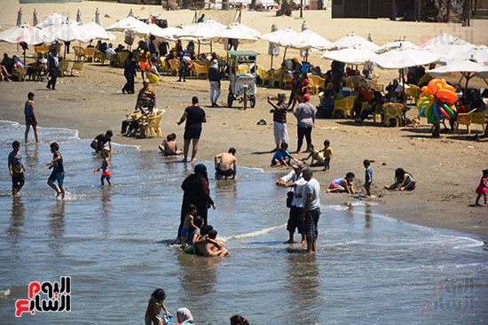 مصور الشاطئ في ورسعيد