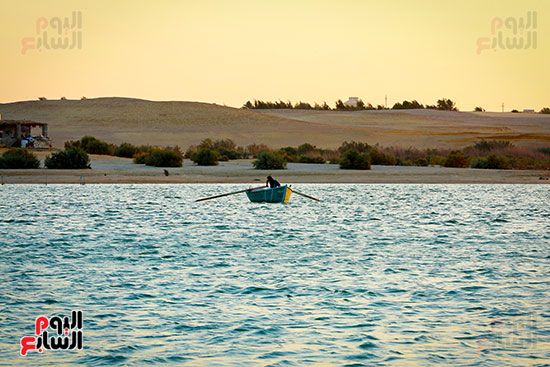 البحيرة