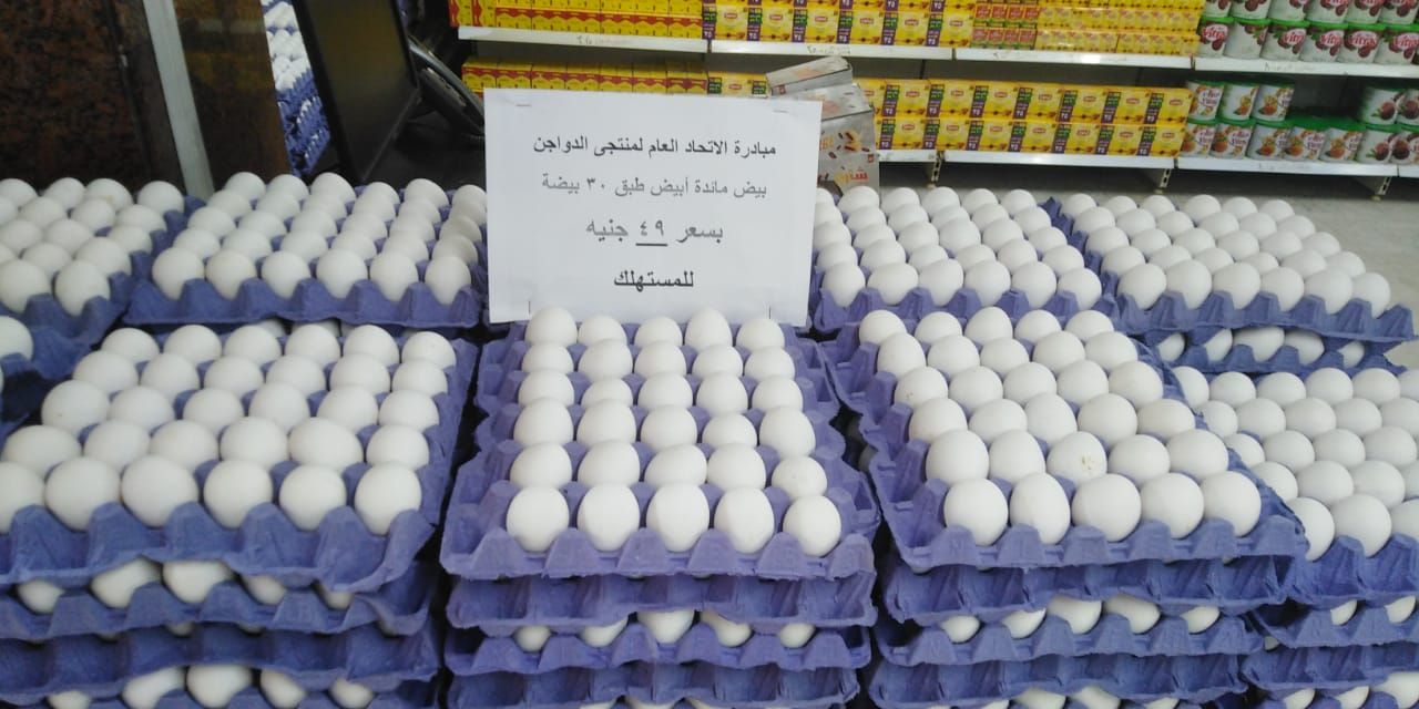 البيض (1)
