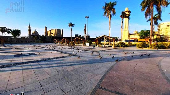أسراب الحمام تحول ساحة مسجد أبوالحجاج الأقصرى لتحفة عالمية