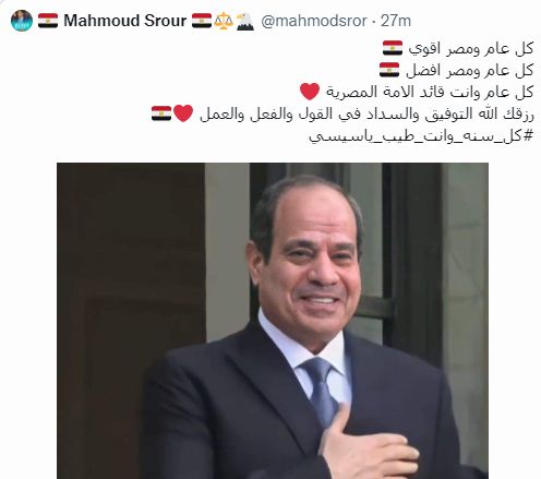 تهنئة المصريين للرئيس بعيد ميلاده (4)