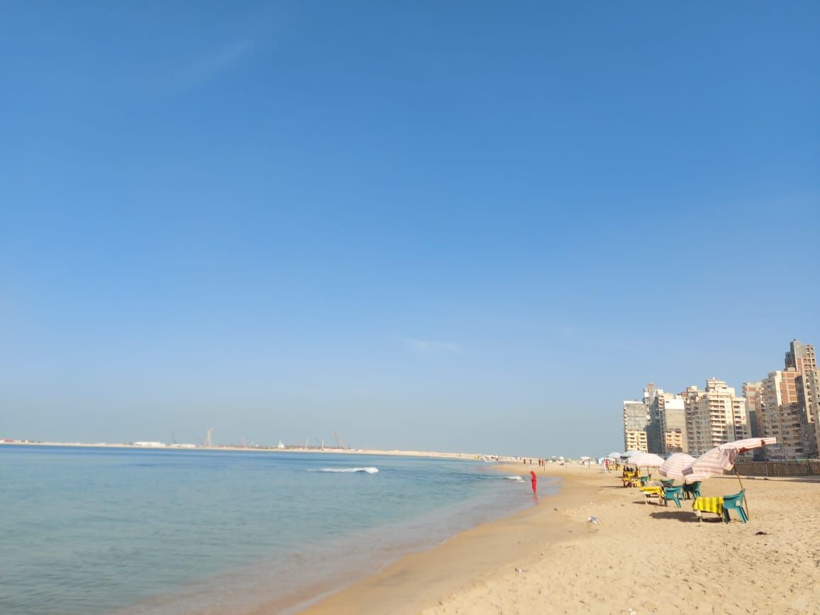 هدوء على شواطئ الاسكندرية