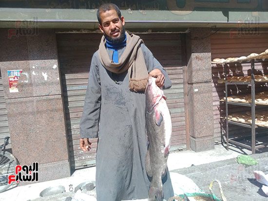 جانب-من-بيع-السمك-فى-شوارع-محافظة-المنيا